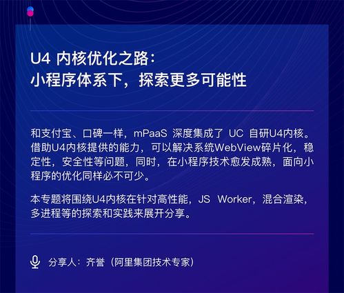 动态化开发实践 技术与工程实验的前沿探索