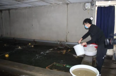 工程和技术研究与试验发展 创新驱动与未来展望